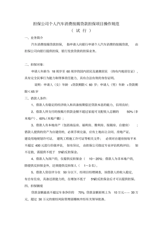 担保公司个人汽车消费按揭贷款担保项目操作规范