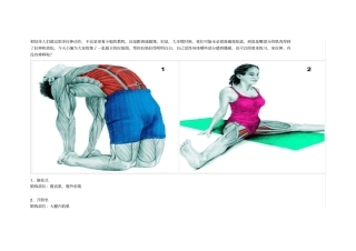 拉伸动作要领资料