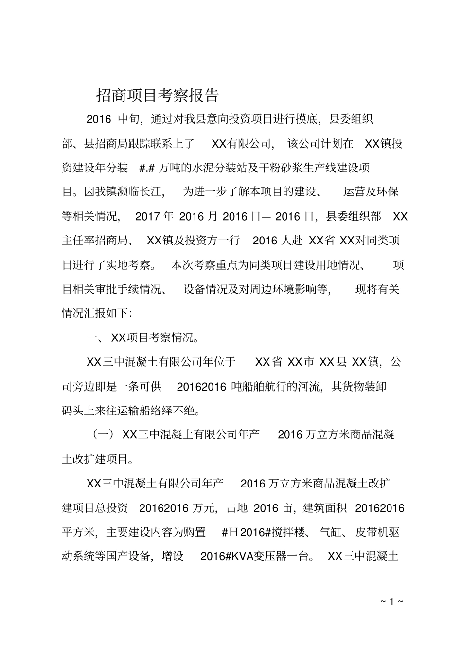 招商项目考察报告_第1页