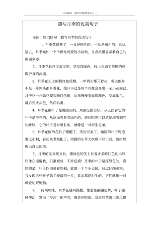 描写月季的优美句子