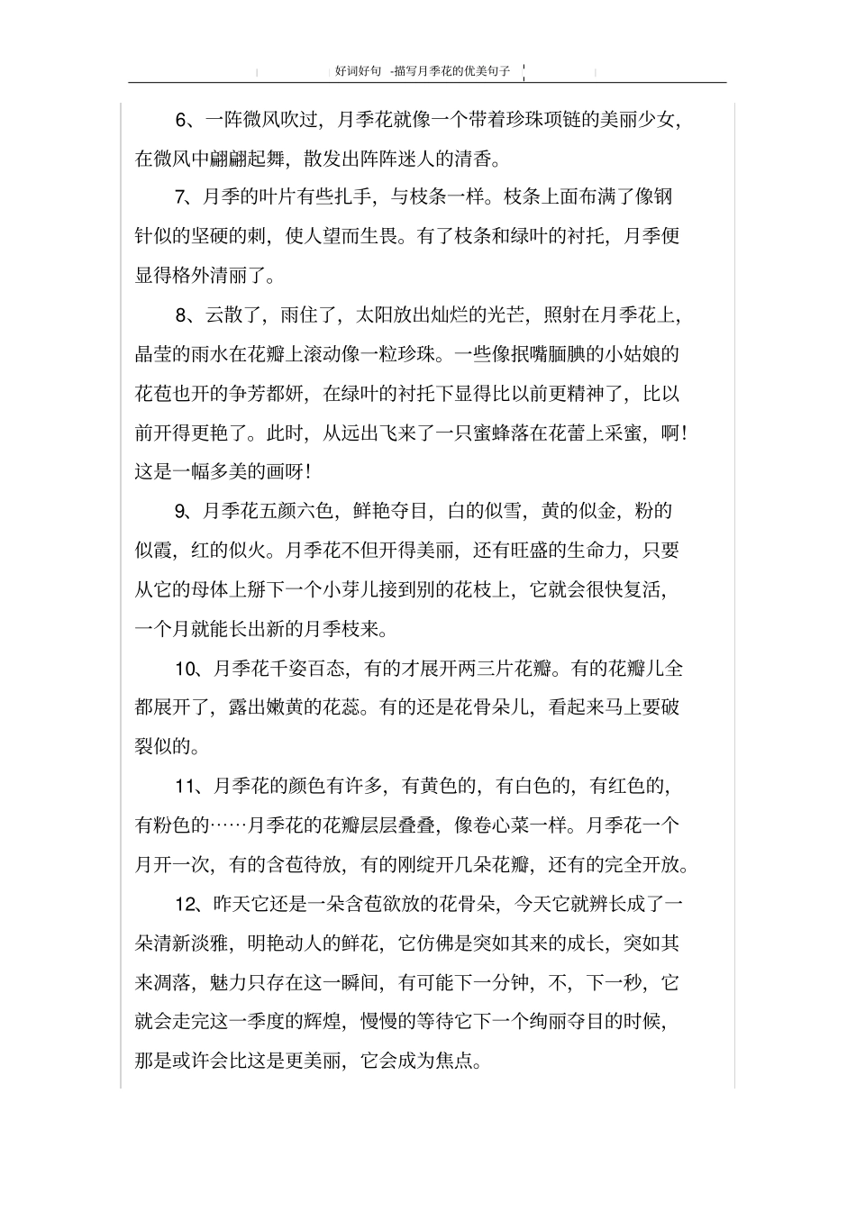 描写月季花的优美句子_第2页