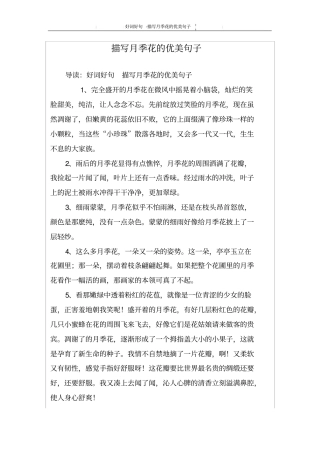 描写月季花的优美句子