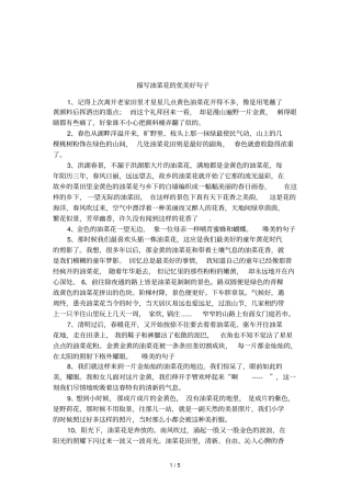 描写油菜花的优美好句子