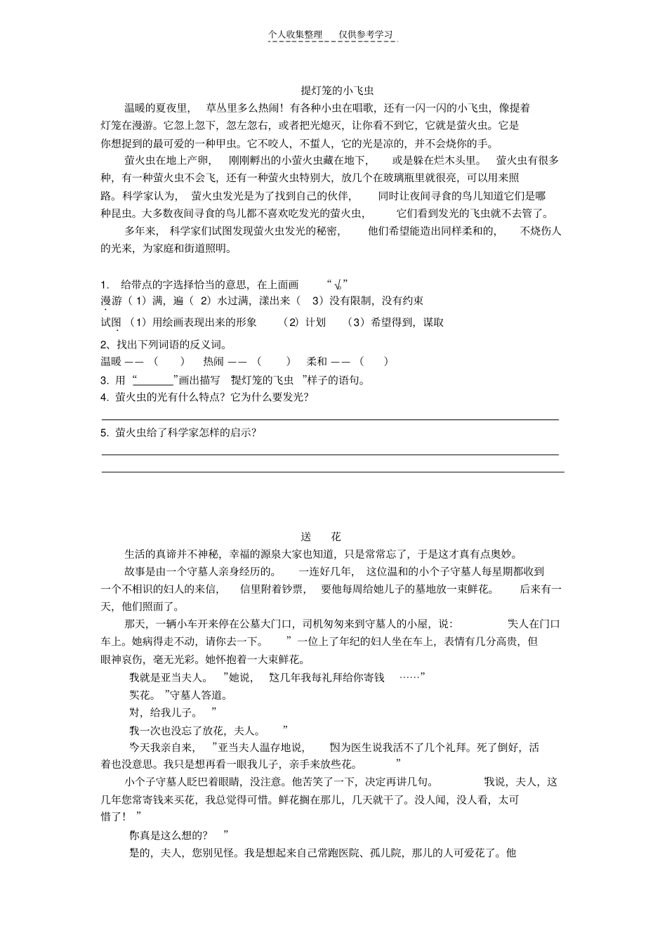 提灯笼的小飞虫_第1页