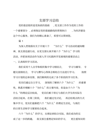 支部学习总结