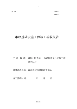 政基础设施工程竣工验收报告
