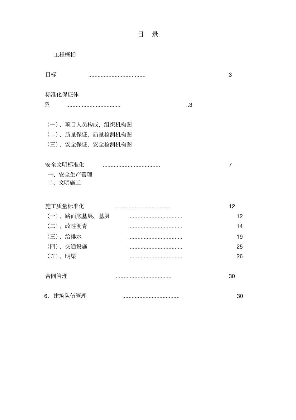 政道路工程标准化项目实施方案_第2页
