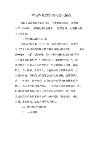 教学团队建设情况