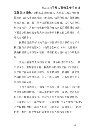 干部人事档案专项审核工作总结报告