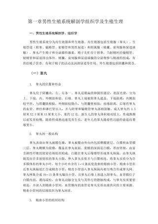 第一章男性生殖系统解剖学组织学及生殖生理