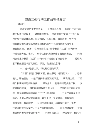 整治三强行动工作会领导发言