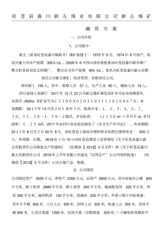 新五煤矿融资方法
