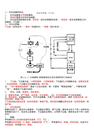 医学-内分泌系统