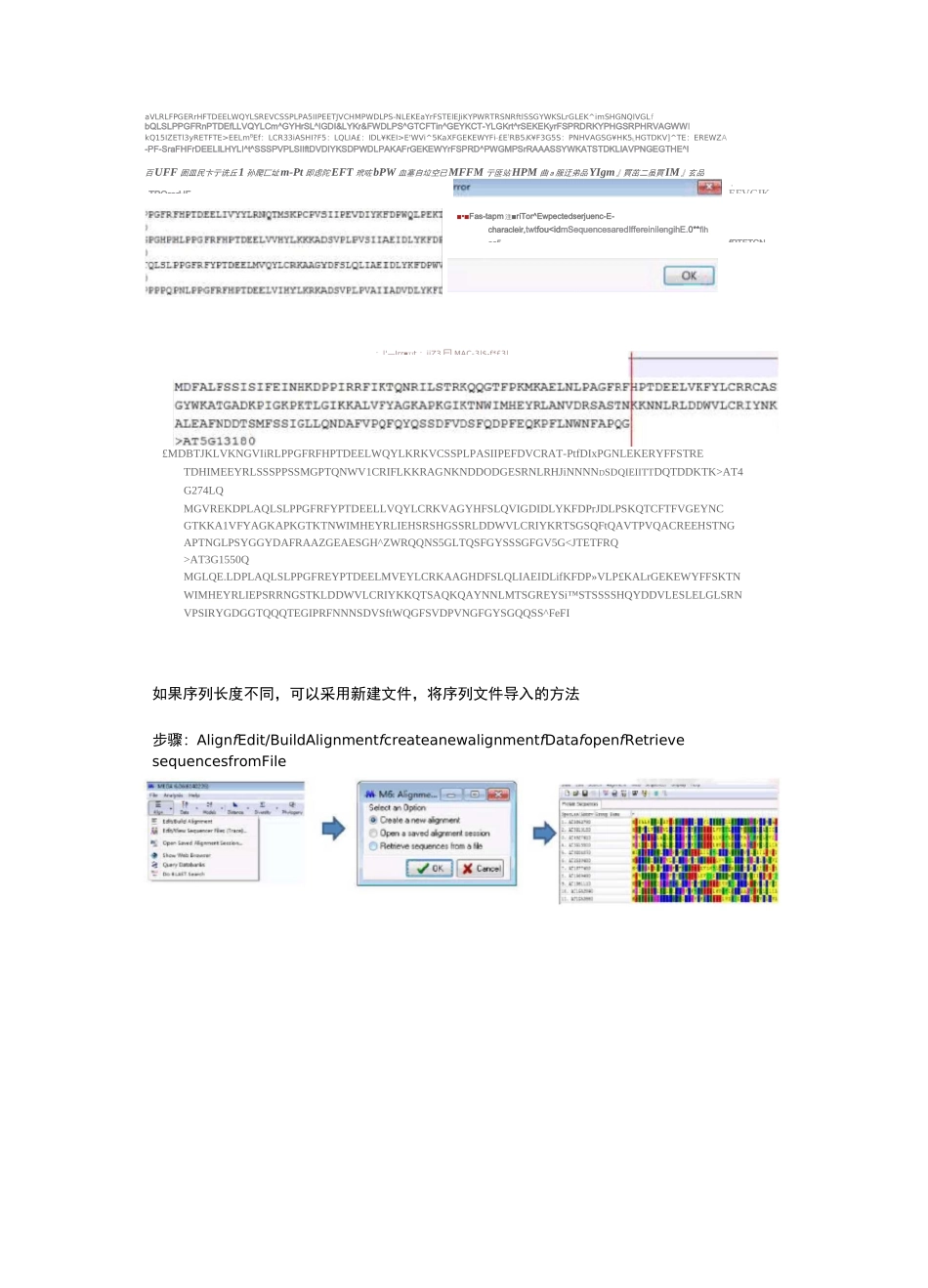 mega使用教程_第2页