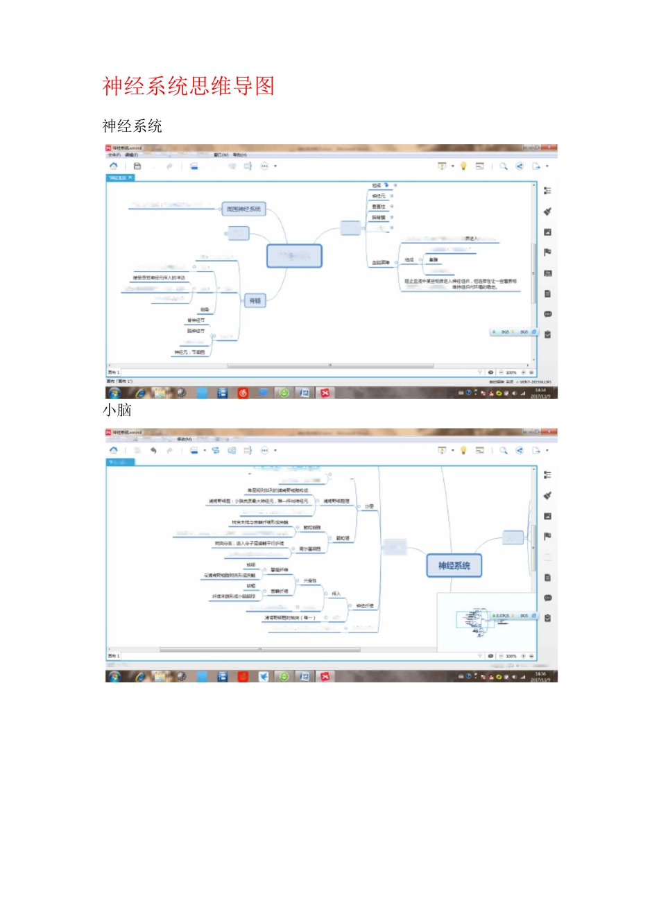 神经系统笔记_第1页