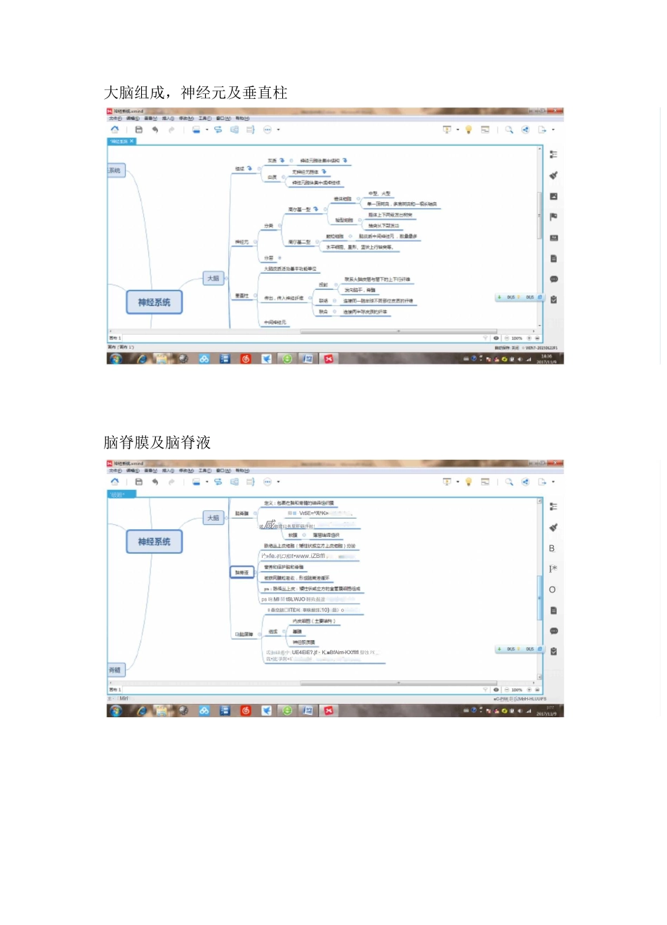神经系统笔记_第2页