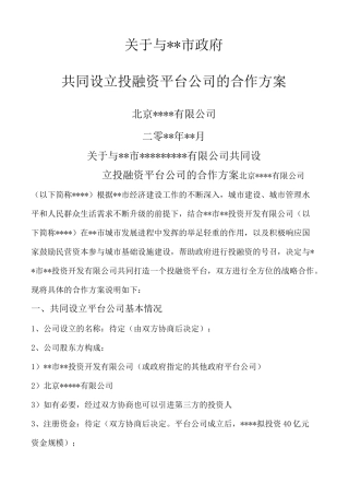 共同设立投融资平台公司的合作方案