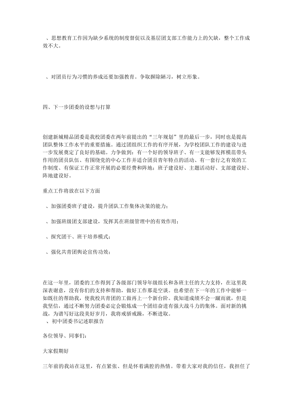 初中团委书记述职报告模板_第3页