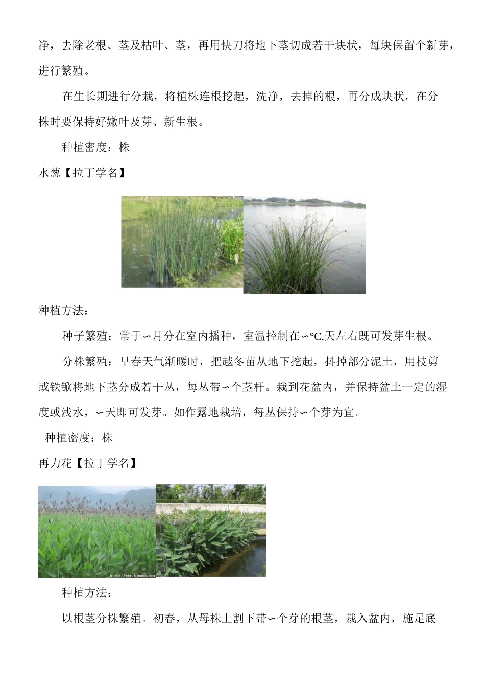 人工湿地水生植物配置以及种植方法种植间距等(活动za)_第2页