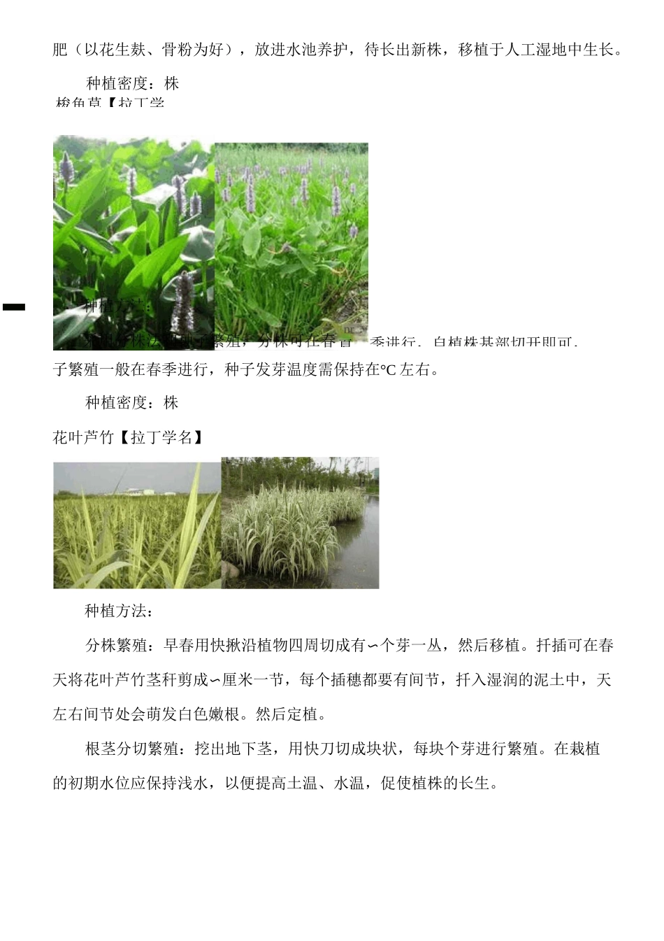 人工湿地水生植物配置以及种植方法种植间距等(活动za)_第3页