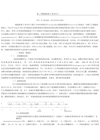 肠道病毒71型简介简述