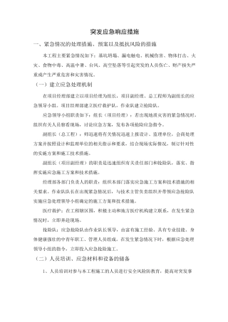 突发应急响应措施