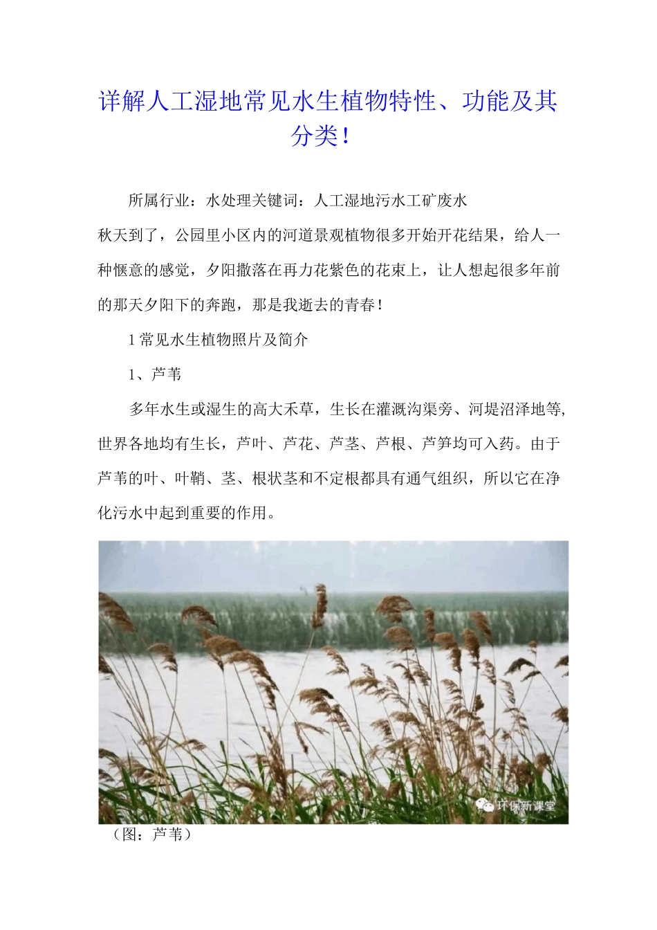详解人工湿地常见水生植物特性、功能及其分类!_第1页