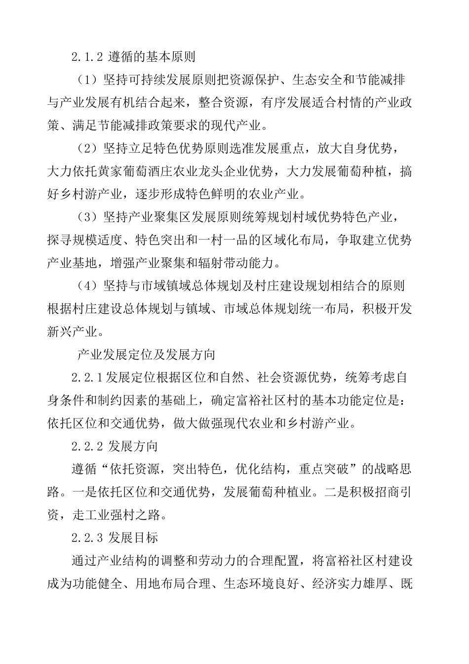 村产业发展规划_第3页