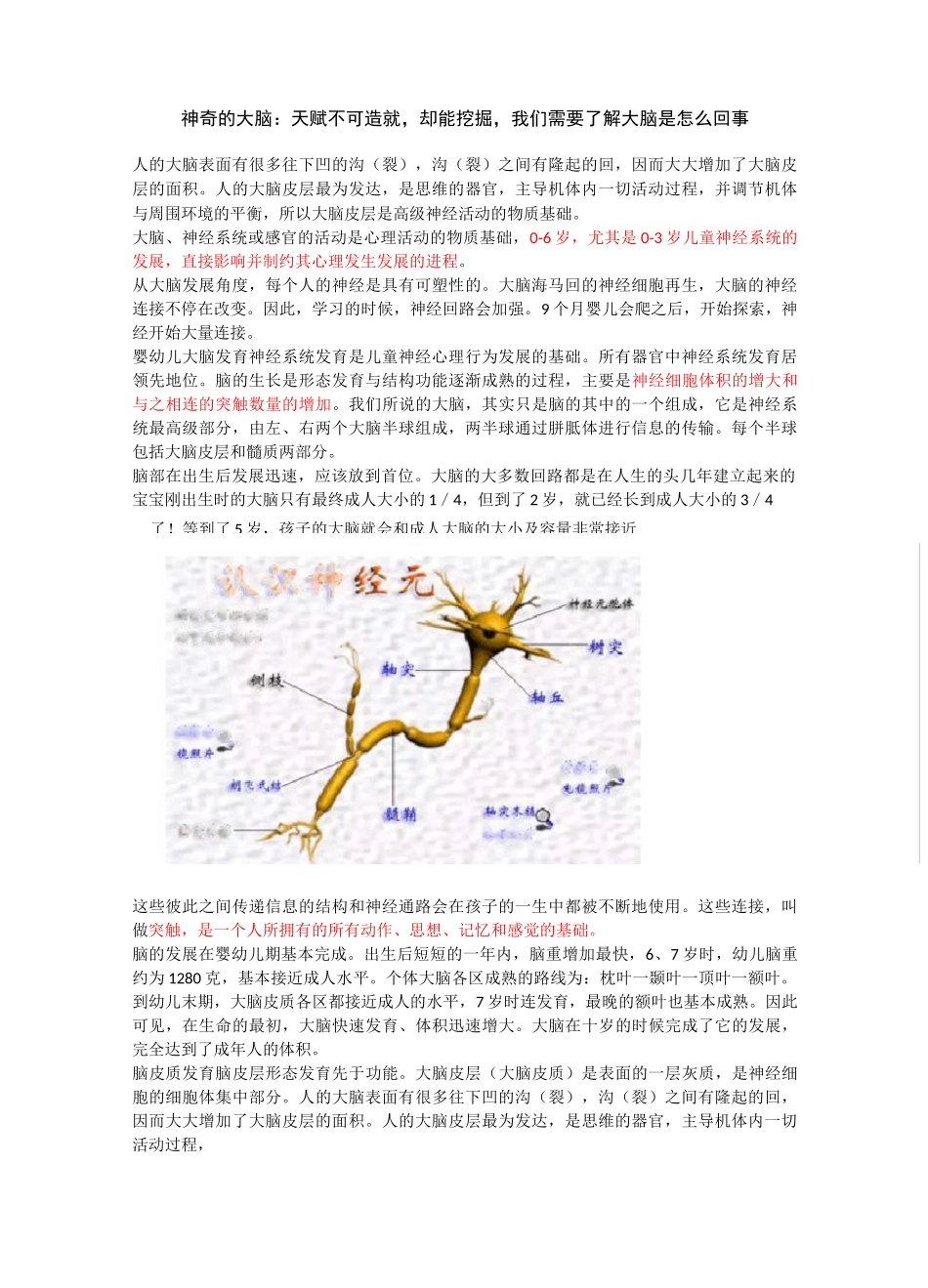 大脑发育和亲子教育关系_第3页