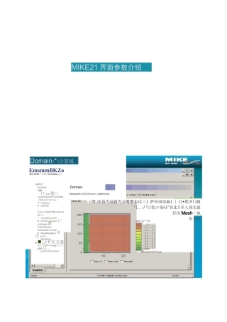 MIKE21界面参数