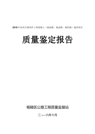 乡村道路鉴定报告