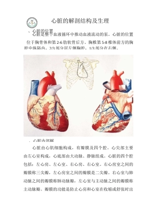 心脏的解剖结构及生理(含彩图)精编版
