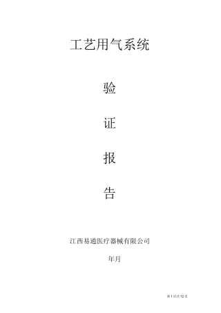 工艺用气系统的验证 (1)