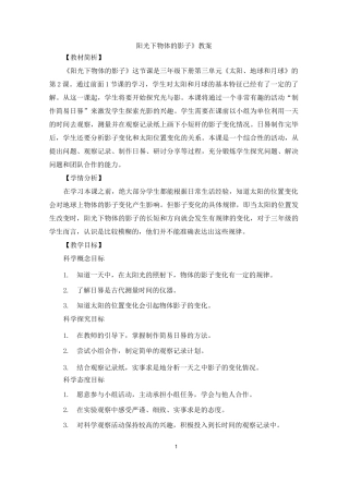《阳光下物体的影子》教案1