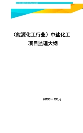 (能源化工行业)中盐化工项目监理大纲