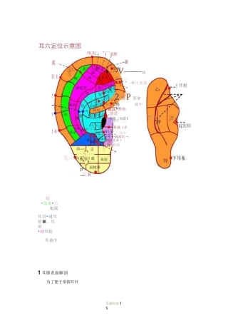 耳穴位置及主治(介绍)