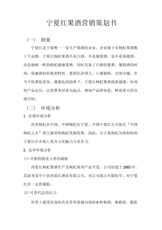 宁夏红果酒营销策划书