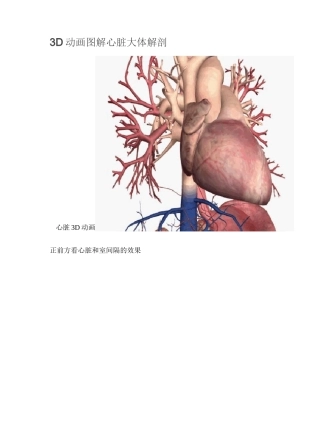 3D动画图解心脏大体解剖