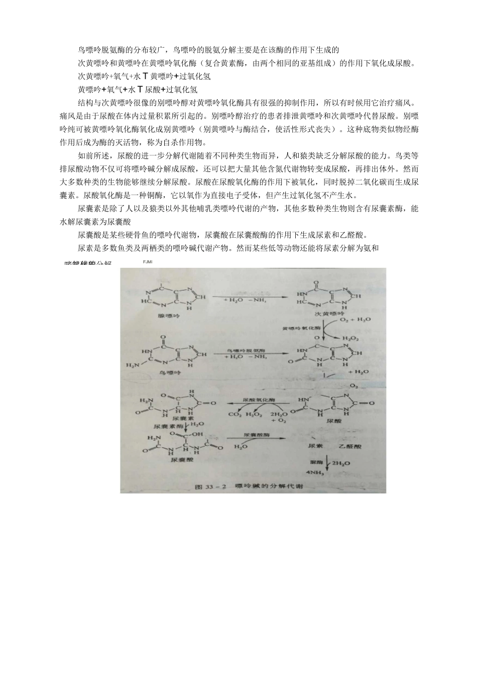 生物化学9 核酸代谢与合成_第2页