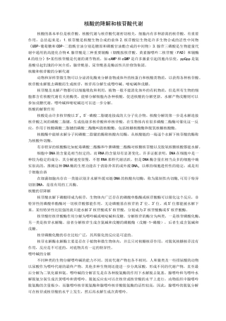 生物化学9 核酸代谢与合成