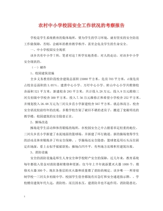 农村中小学校园安全工作状况的考察报告