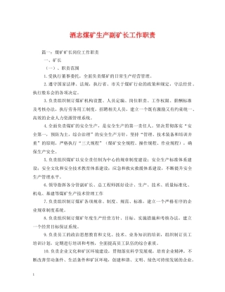 洒志煤矿生产副矿长工作职责 
