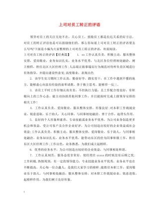 上司对员工转正的评语