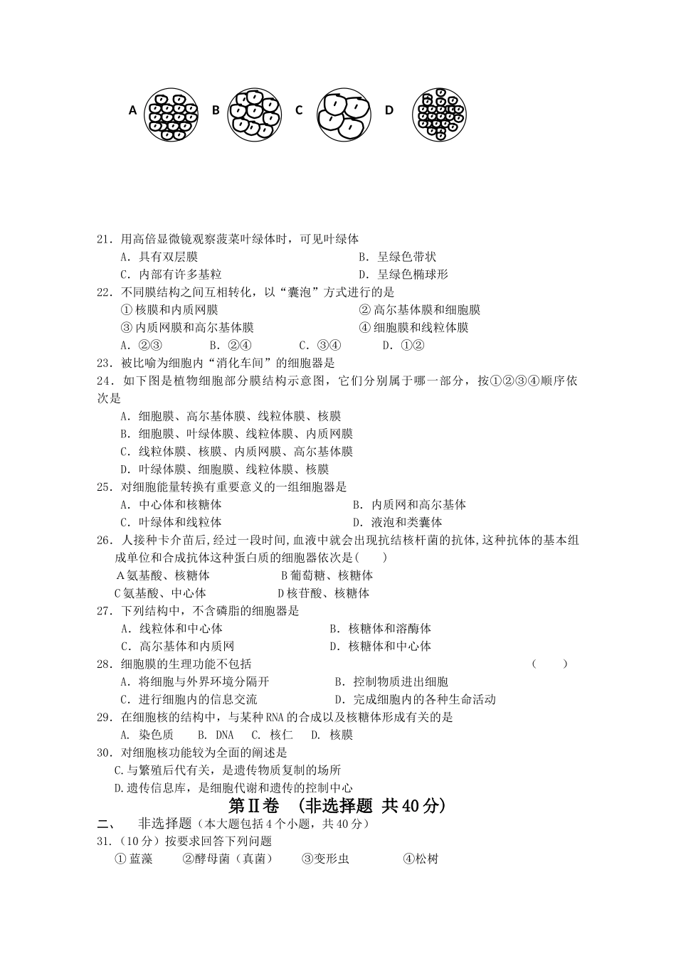 山东省苍山县1011高一生物上学期期中考试 _第3页