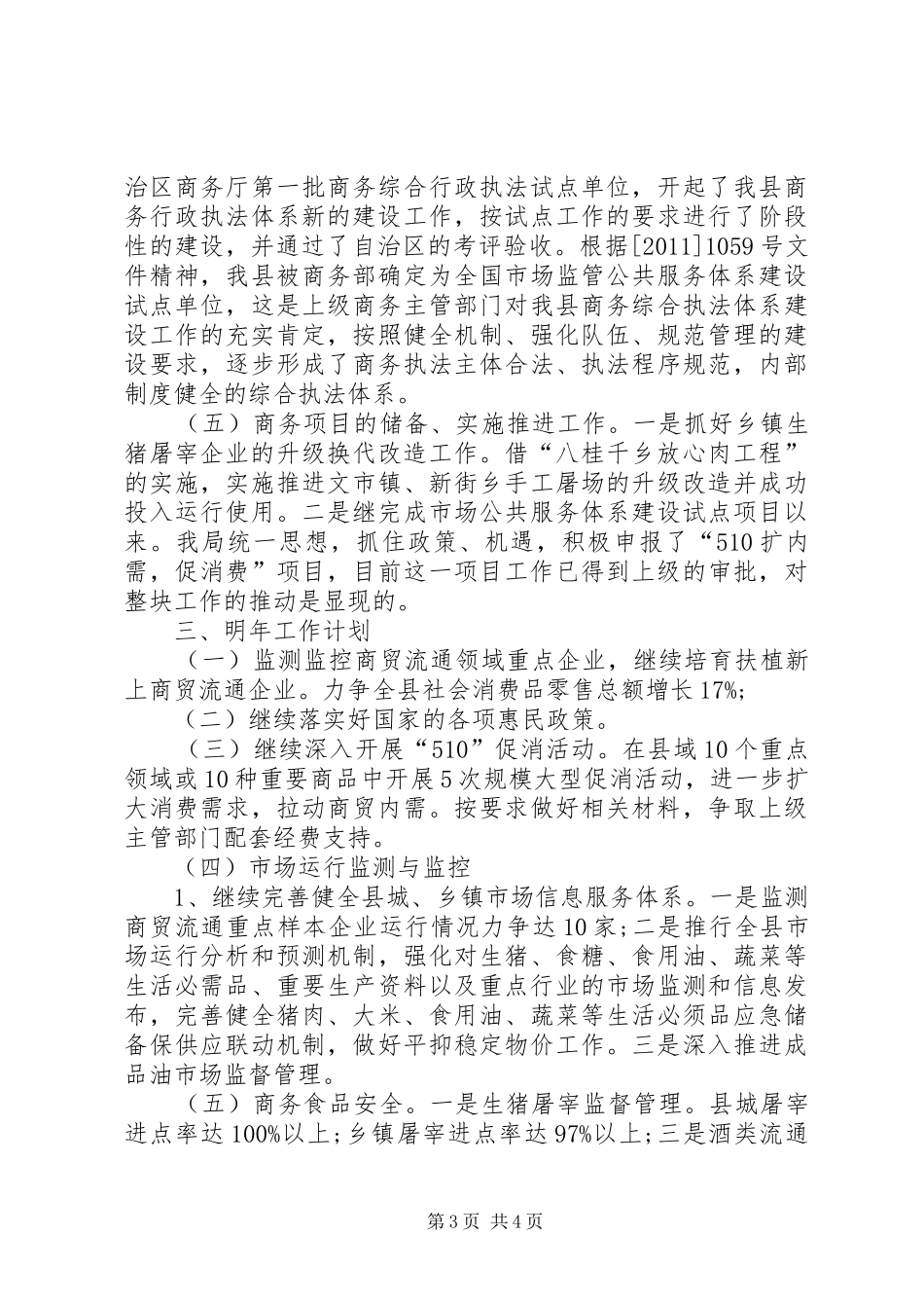 商务局工作总结 (24)_第3页