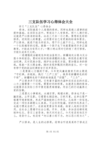 三支队伍学习体会心得大全