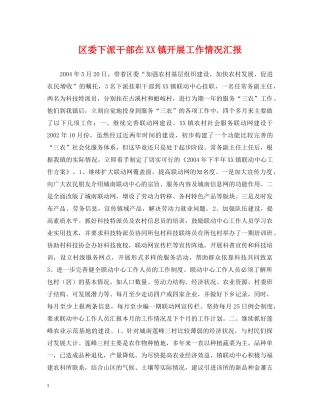 区委下派干部在XX镇开展工作情况汇报 