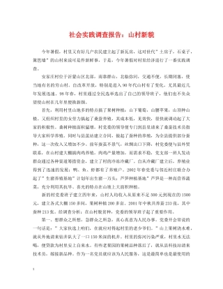 社会实践调查报告：山村新貌 