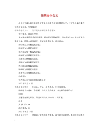 任职命令公文