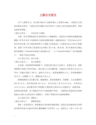 上报公文范文